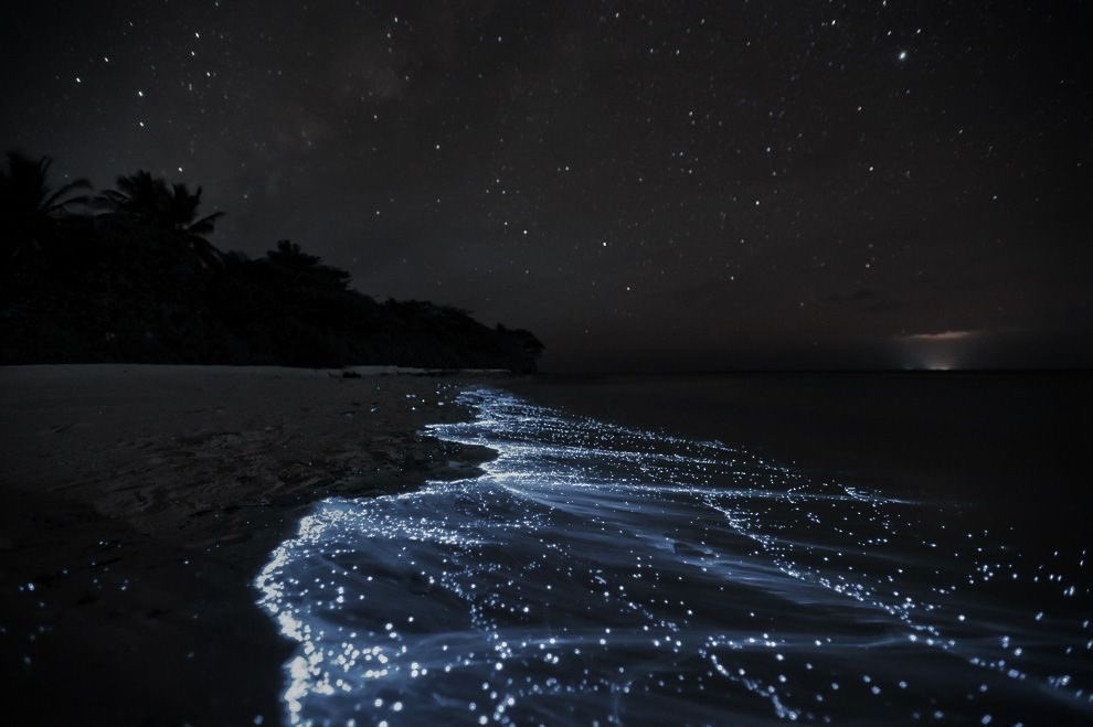 Sea of stars ✨