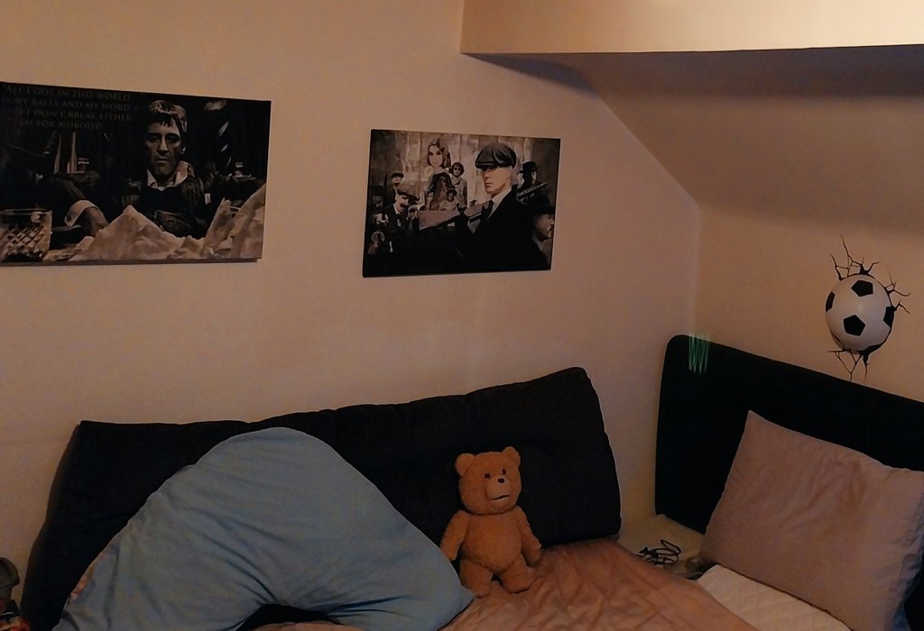 drwookieeMD's tweet image. Same 🐻 #thunderbuddy