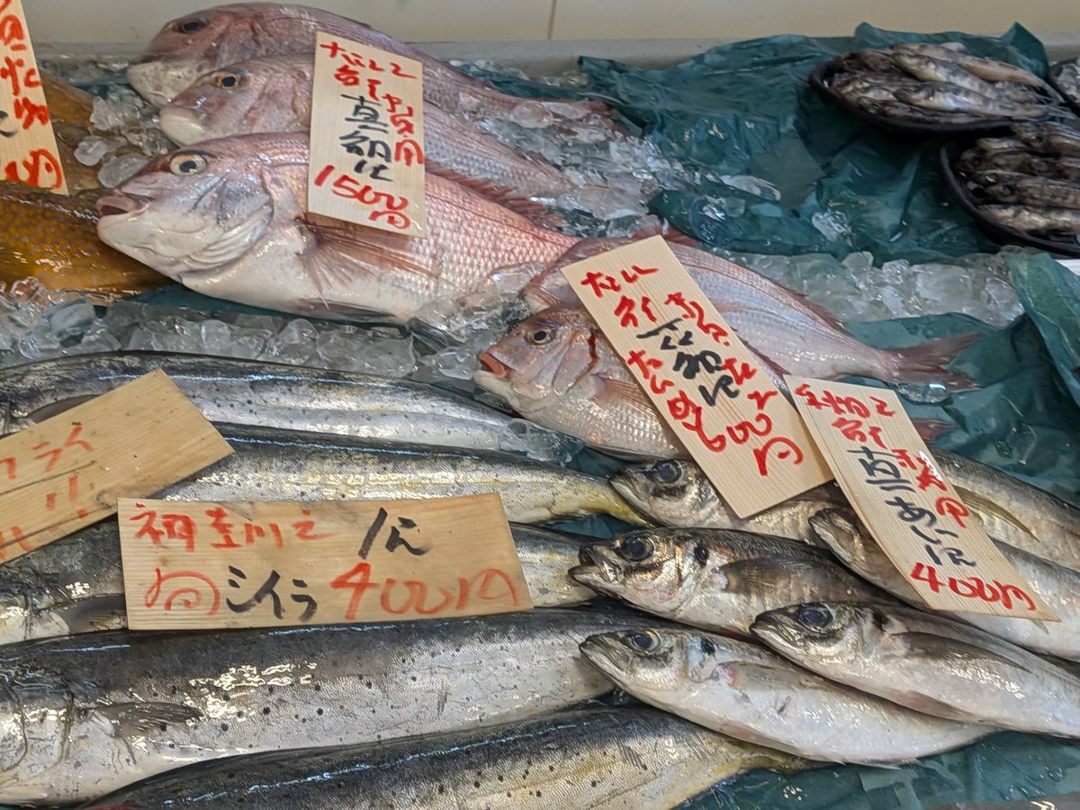 uokeioarai's tweet image. おはようございます、魚結でです✨
今日のおすすめは、茨城産活伊勢海老一尾3000円‼️
お刺身、フライ、焼き物等で大変美味しい今が旬の海老です🦞
(お電話でのご注文承っております。)
よろしくお願い致します🙇
#伊勢海老 #今が旬 #魚好きと繋がりたい #海老好きと繋がりたい #大洗