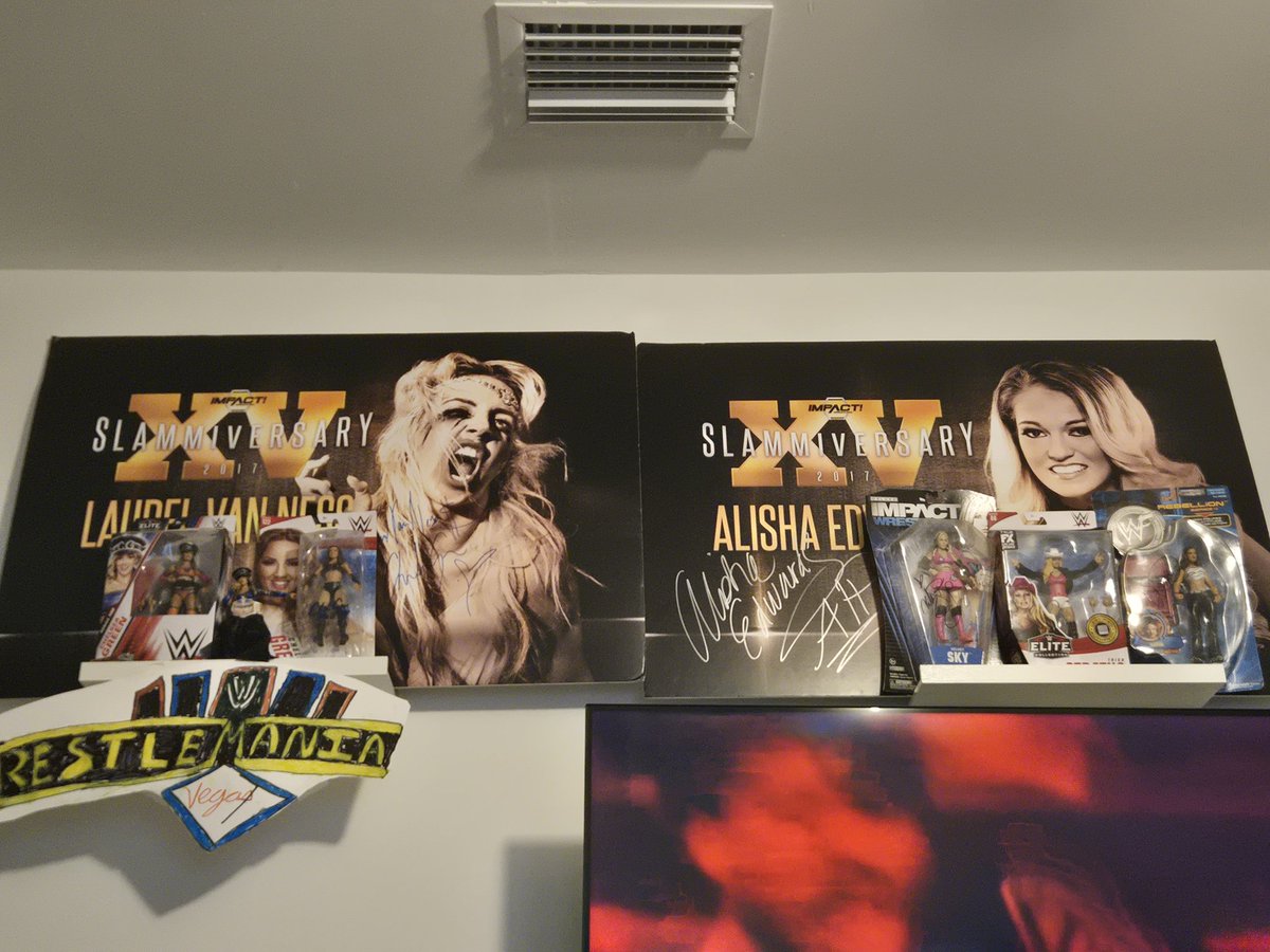 SKFeffect's tweet image. #TNASlammiversary throwback memorabilia featuring @MrsAIPAlisha & @ImChelseaGreen