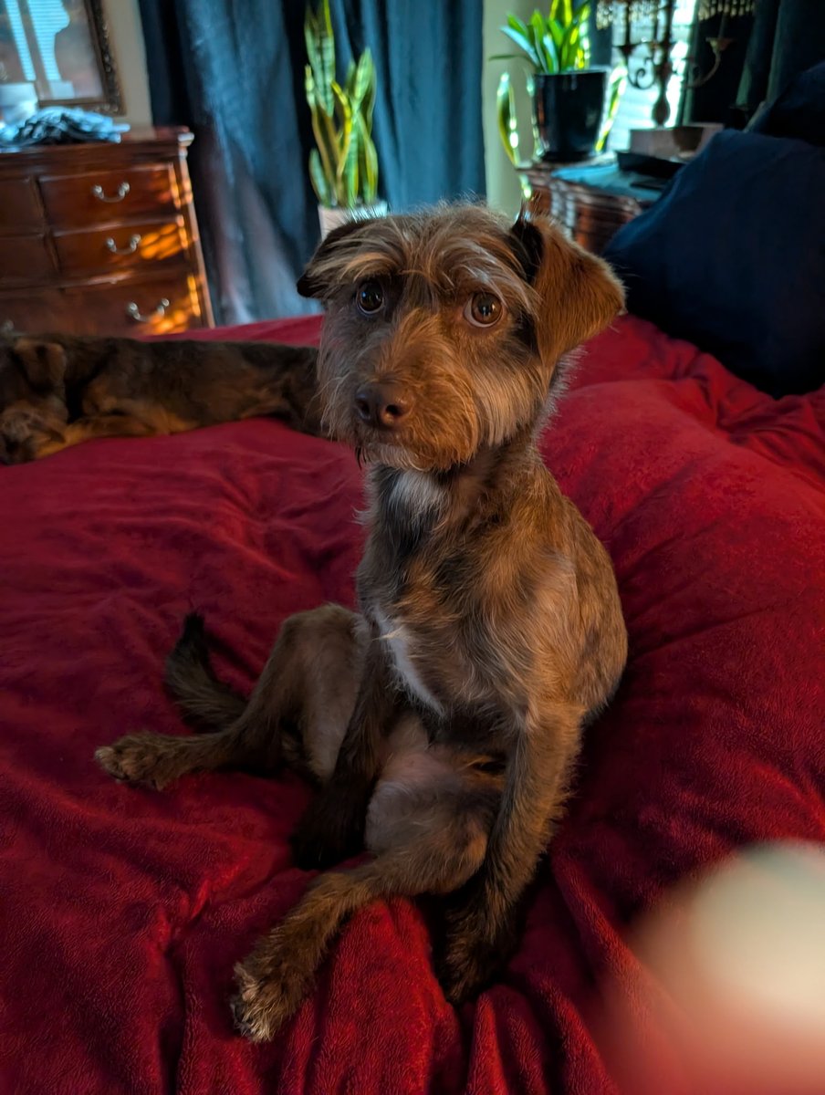 Just chillin' on the bed.