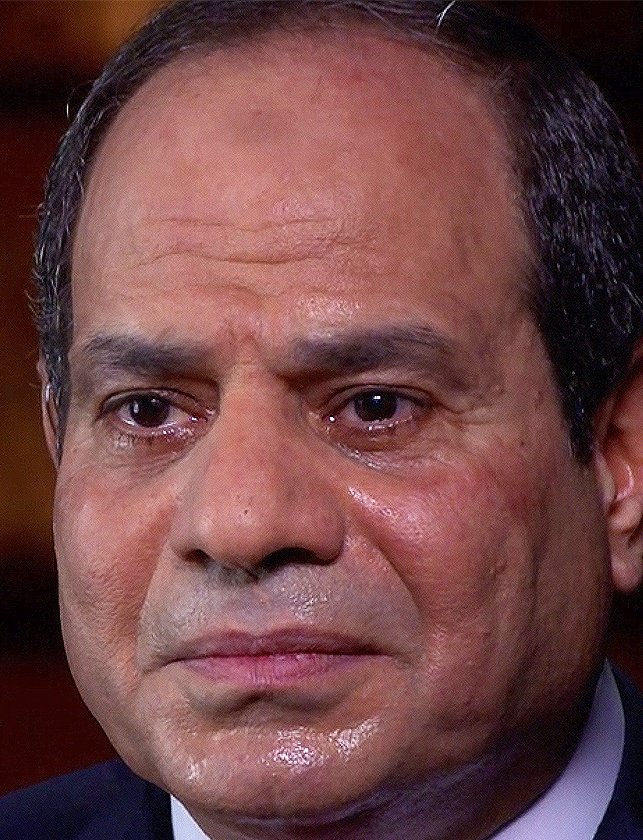 مصــري غلبان tweet media