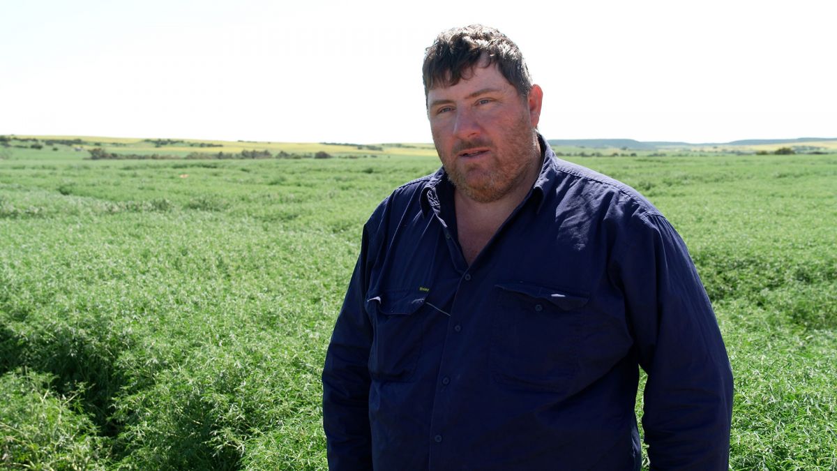 theGRDC's tweet image. #Sclerotinia has long challenged Warren Treasure, who farms 15km from Geraldton, WA.
His family is now hosting @DPIRDbroadacre trials for plant pathologist @ciara_beard, exploring approaches to tackle the fungal disease.
Read more: bit.ly/44ZVKqT