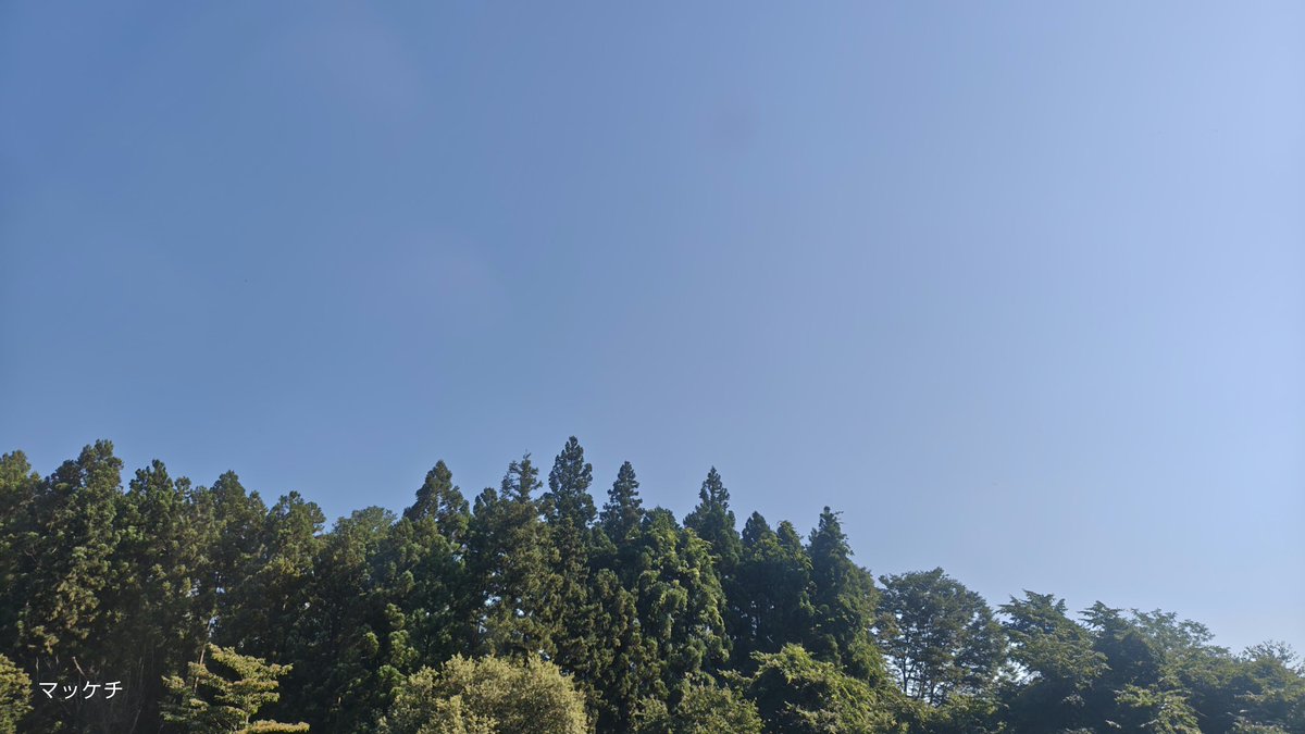 makomofu5170's tweet image. おはようございます
あっという間に連休最終日
自分達が選んだ訳ですから
選挙の事はあえて言いません
熱中症に気を付けて
こまめに水分塩分補給と休憩しながら
無理せず乗り切りましょう
今週も宜しくお願い致します
良い一日をお過ごし下さい🎵