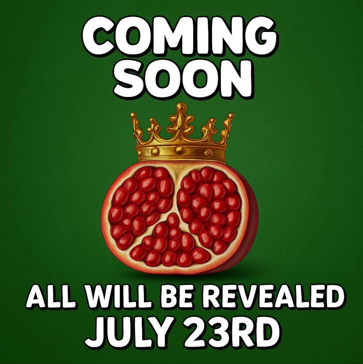 👑Something we’ve been working toward for a long time is finally coming to life on July 23rd 🗓— I’m so excited to share it with you! 🗣Want to be among the first to find out? Message me your email address!