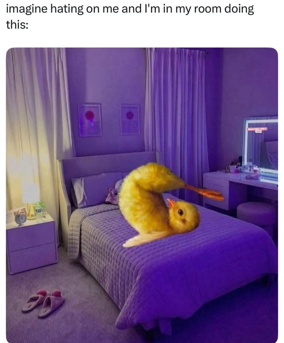 Respectful Memes (@respectfulmemes) on Twitter photo 