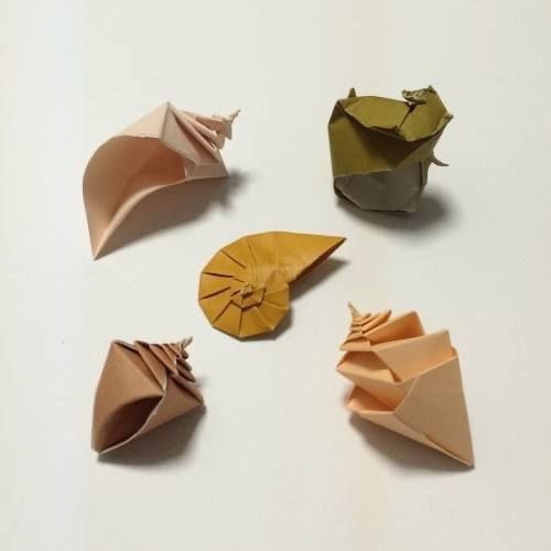 faewings's tweet photo. origami shells 🐚 https://t.co/8ZjukGBT9V