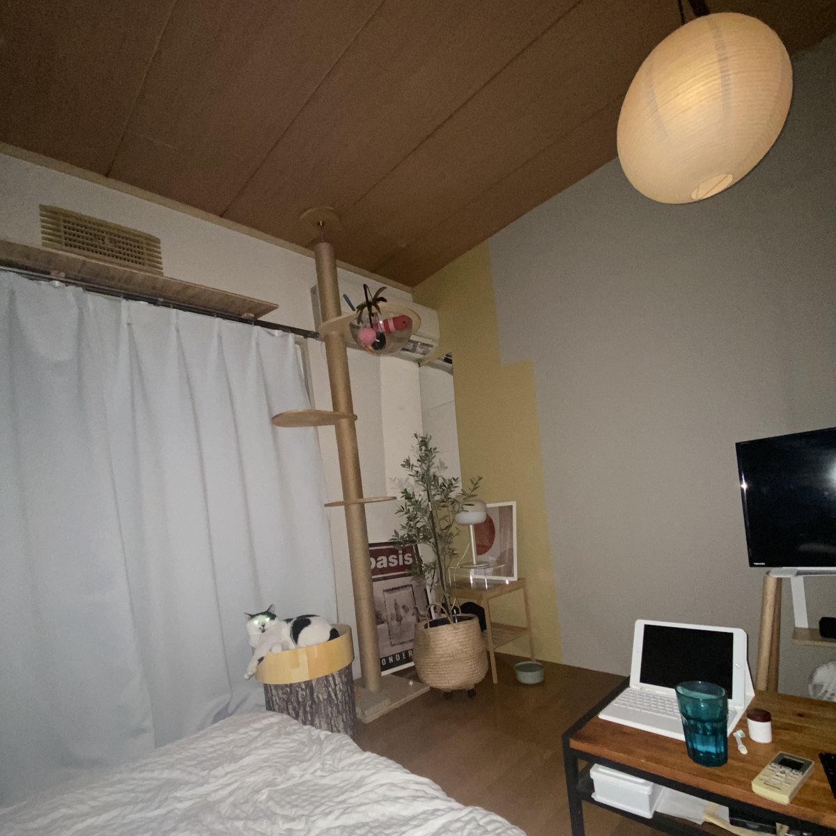 umedesukedomo's tweet image. ギラリ