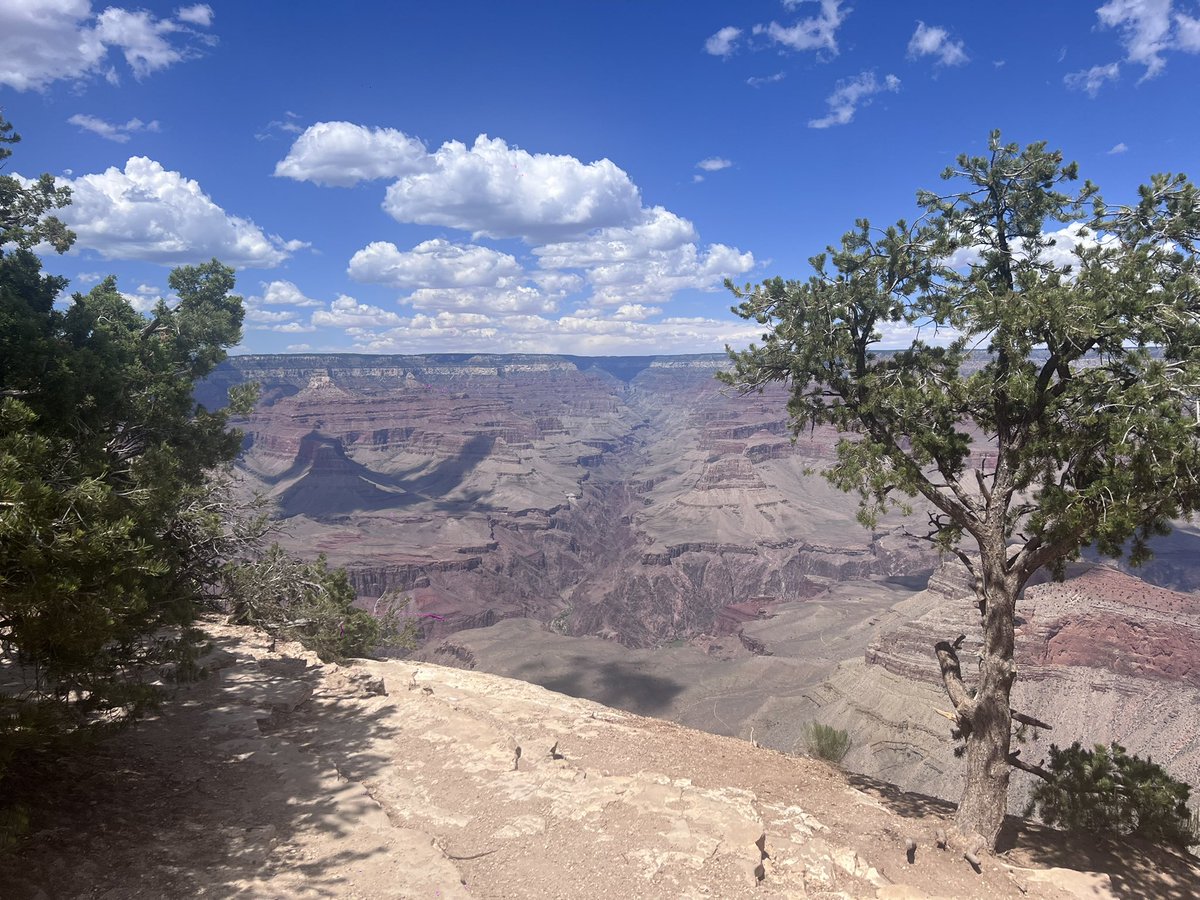 biglowkuntry's tweet image. Enjoyed my pre-football season vacations. Arizona last week, Philly this week. Now it’s time to lock and load for a great Atlanta Falcons season! Rise Up!!