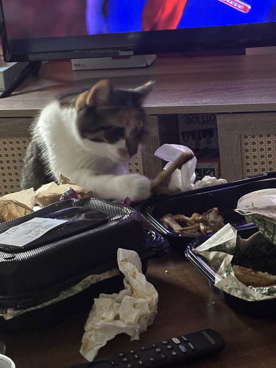 blossumupdate's tweet image. Blossum wants to lick the wing stop bone