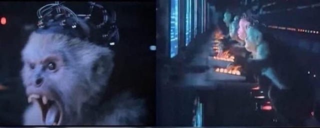 MelonieMac's tweet image. Lex Luthor's propaganda bot monkeys are actually real and they're all over this app
