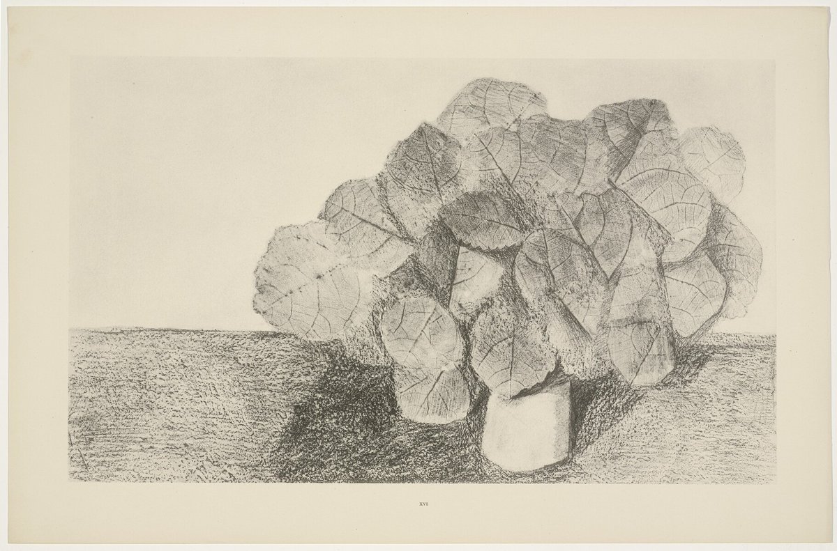 artisternst's tweet image. The Lime Tree Is Docile (Le Tilleul est docile) from Natural History (Histoire naturelle) #artbots #ernst