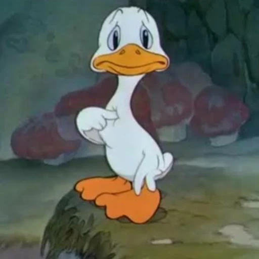 natacitouofc's tweet image. &quot;ele até que da pro gasto&quot;

aluno chamado gasto