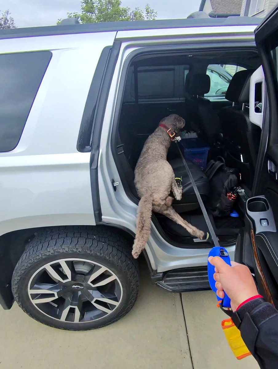 Ryan_the_Spoo's tweet image. Oops, I did it again… I slipped in the truck, as I just jumped in…
Oh baby, baby…
#spoo #spooinboots #spookindainatruck