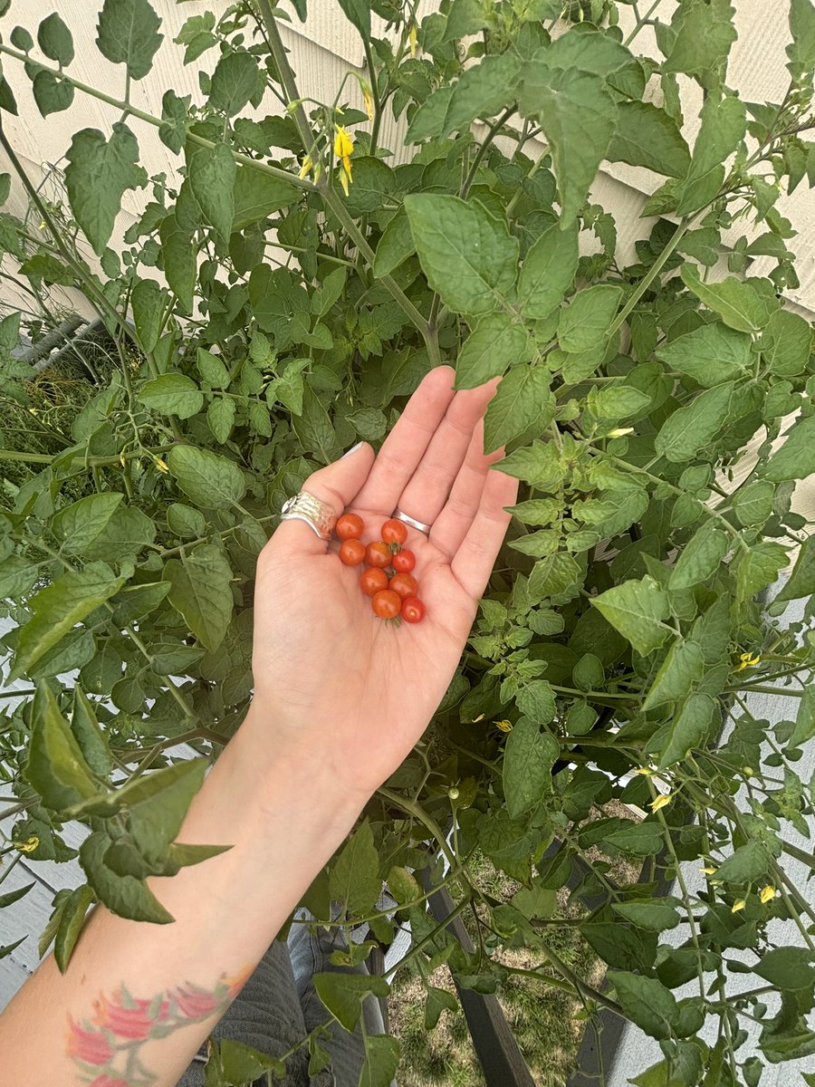 jaybreezay's tweet photo. such a wonderful summer day / ending with a severe thunderstorm 🥰 https://t.co/PQWn2ZXnJb