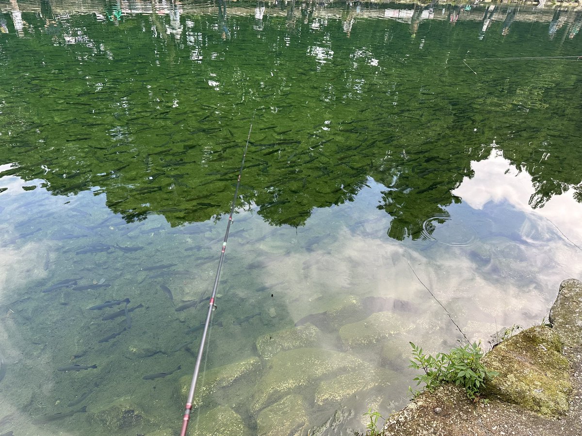 お初！
魚影すんごい！🐟🐟