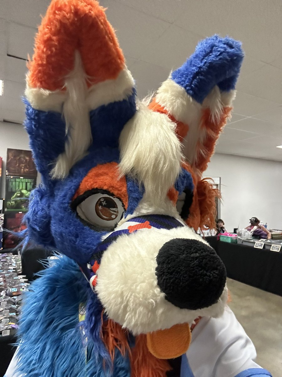 TidedPod's tweet photo. RC3 Was A Blast!

#furryfandom #furry https://t.co/ML06r6f2K3