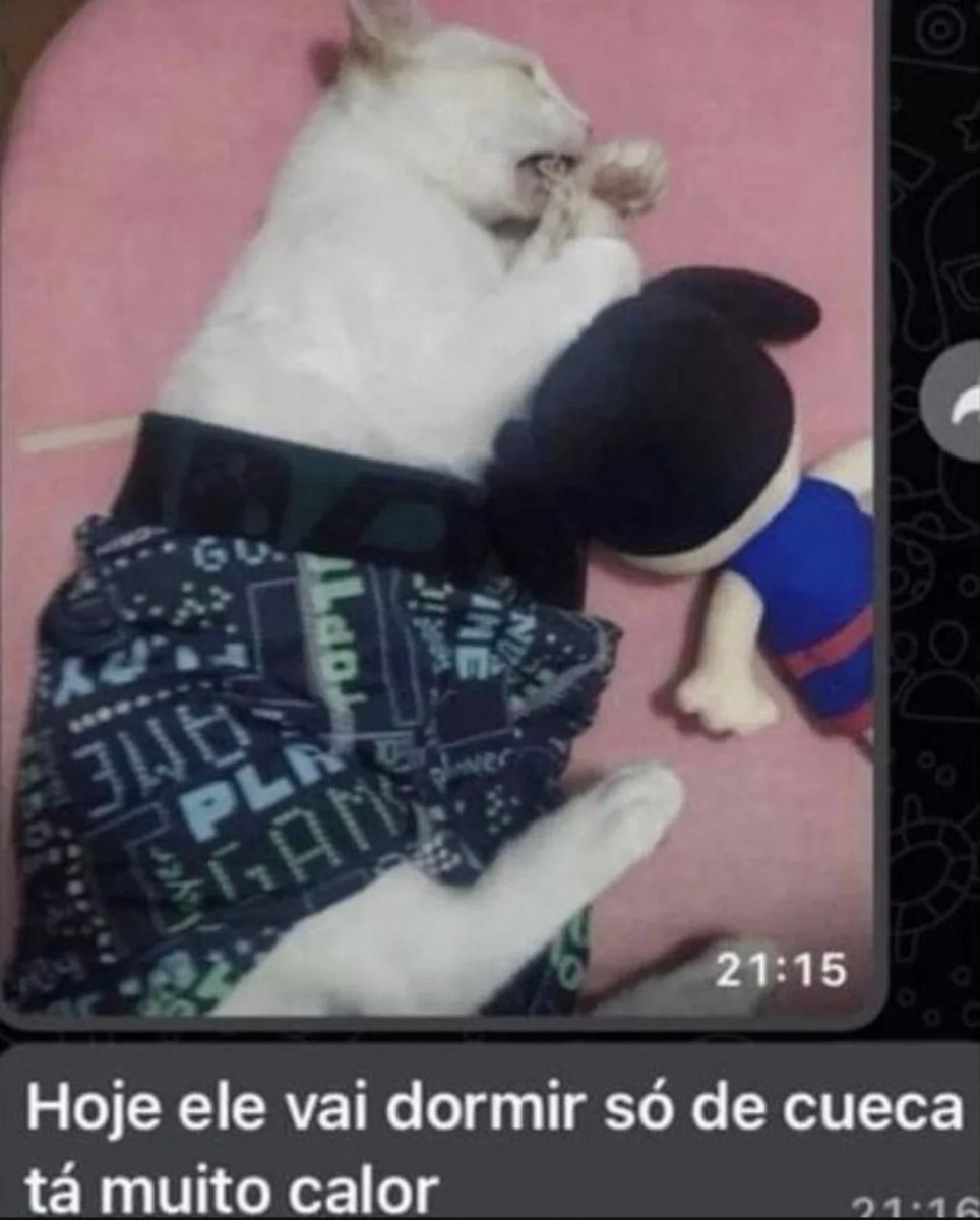 Shitpost só que de verdade tweet media