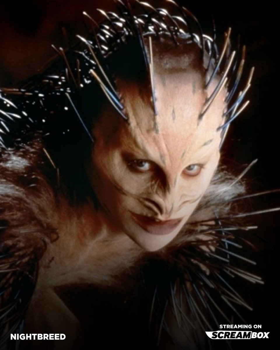 ScreamboxTV's tweet image. Not all monsters hide under the bed. Some rip your face off in broad daylight.

Stream some of the gnarliest beasts in our Creature Features Collection – now on Screambox.

#CreatureFeatures