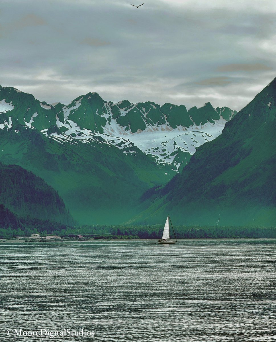 Resurrection Bay - Seward, Alaska