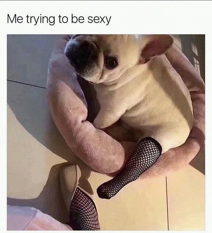 jaivivasf's tweet photo. Me mejor momento https://t.co/1R6rCLdRsn
