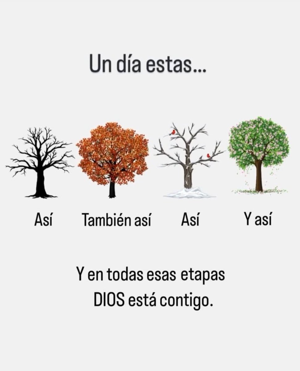 Biblia_Linea's tweet image. 