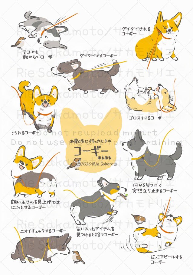 #三連休はフォロワーさんが増えるらしい
コーギーあるある描いてます 