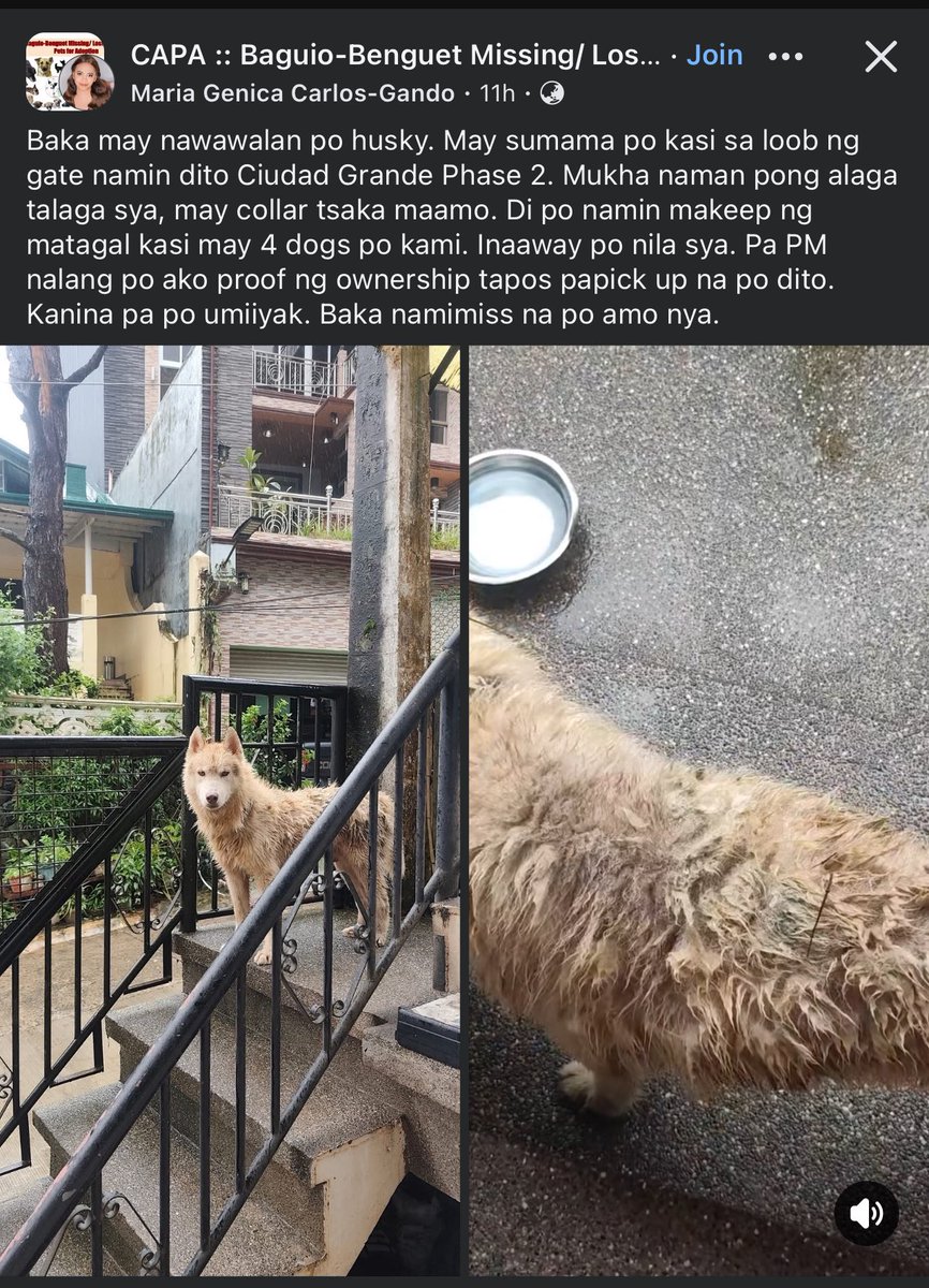 kish ✿ busy tweet media