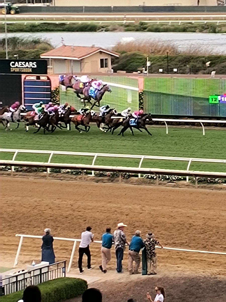 Del Mar baby 😍🐎😎