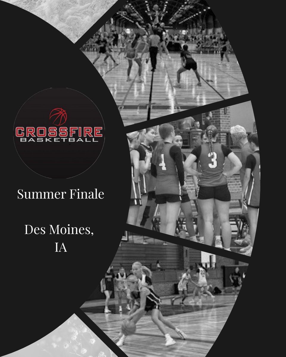 Crossfire 2028 Lady P32 tweet media