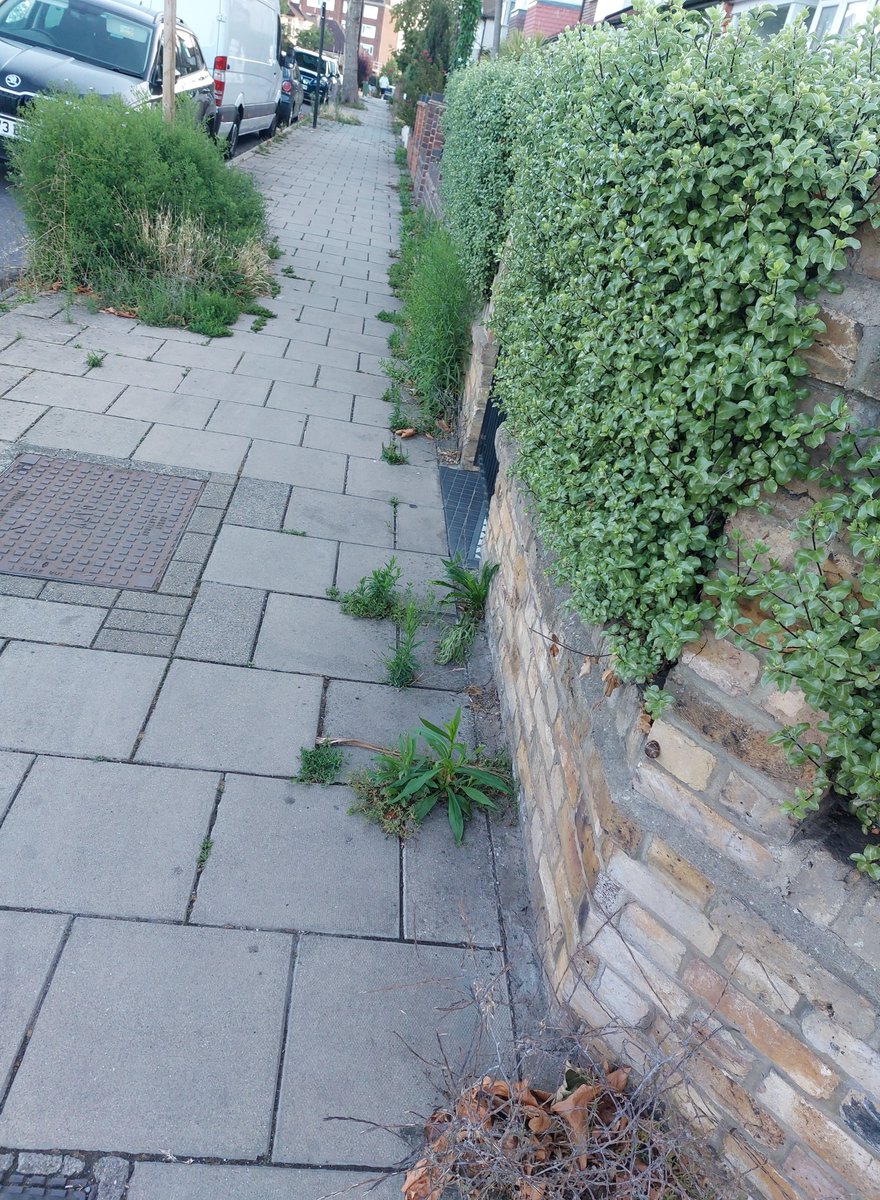 NeilSalt2019's tweet image. london.gov.uk/mayor-launches…
One month ago @SadiqKhan launched his £12.4m Green Roots Fund urging boroughs to apply for up to £500k to rewild communities
@lambeth_council won't need to apply - lack of weeding of pavements is a disgrace, with >50% of their width here already rewilded!