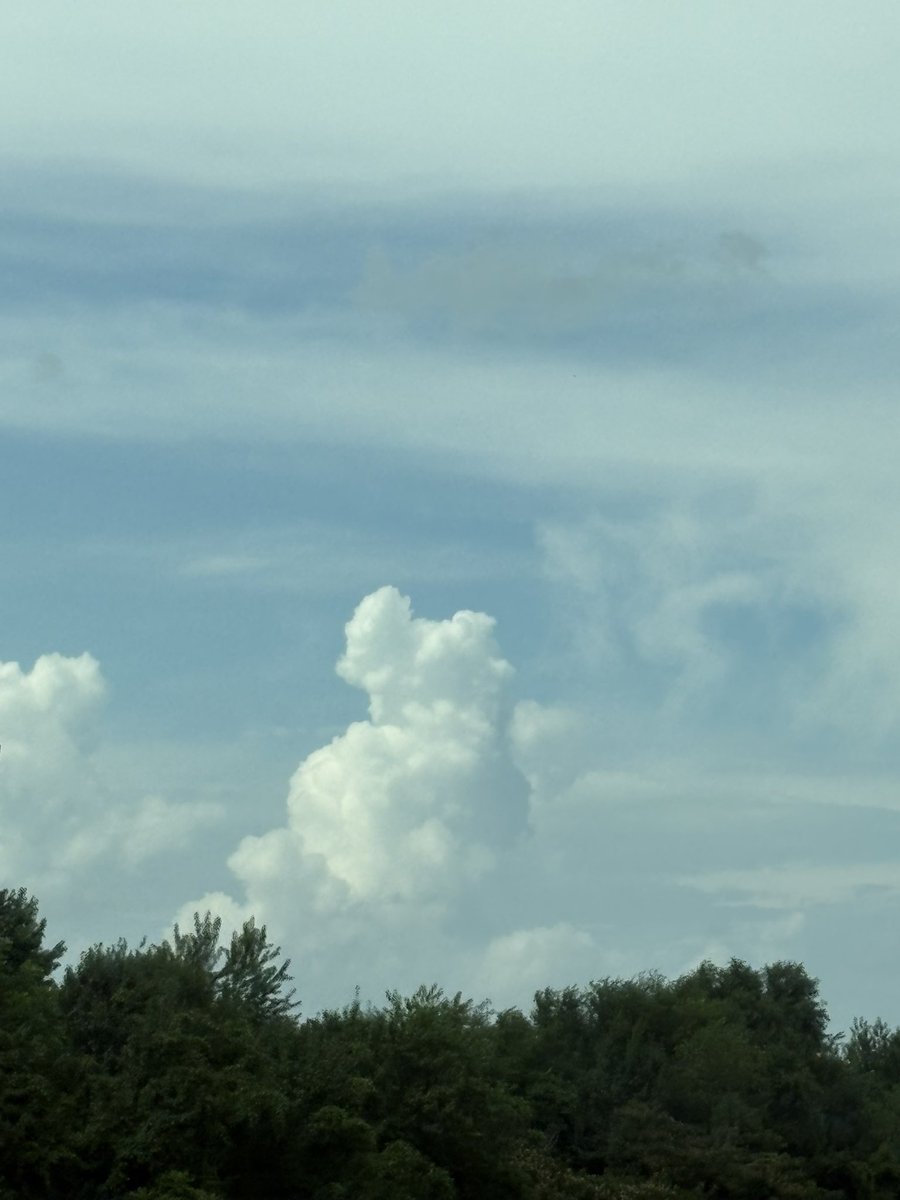 Phanatic cloud