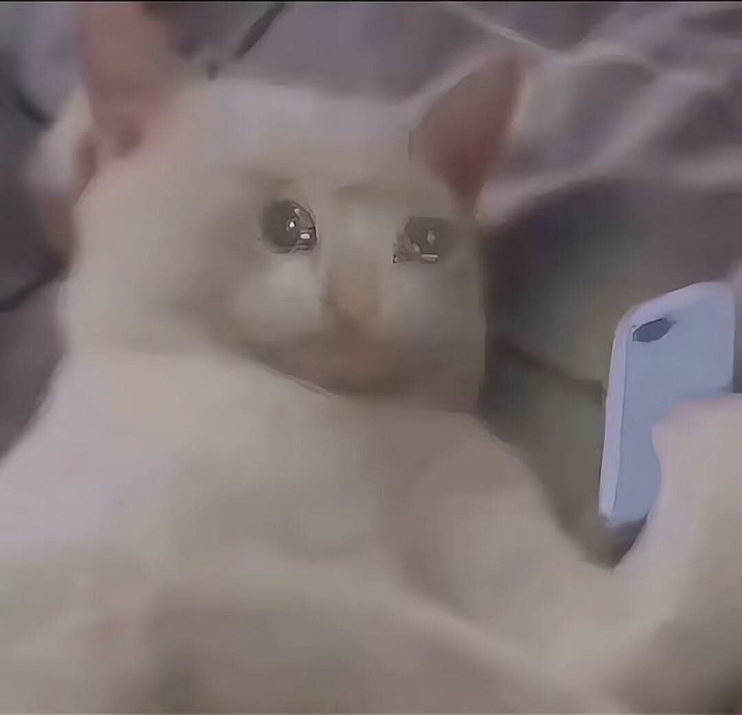 怎么又周一了，我还没睡够