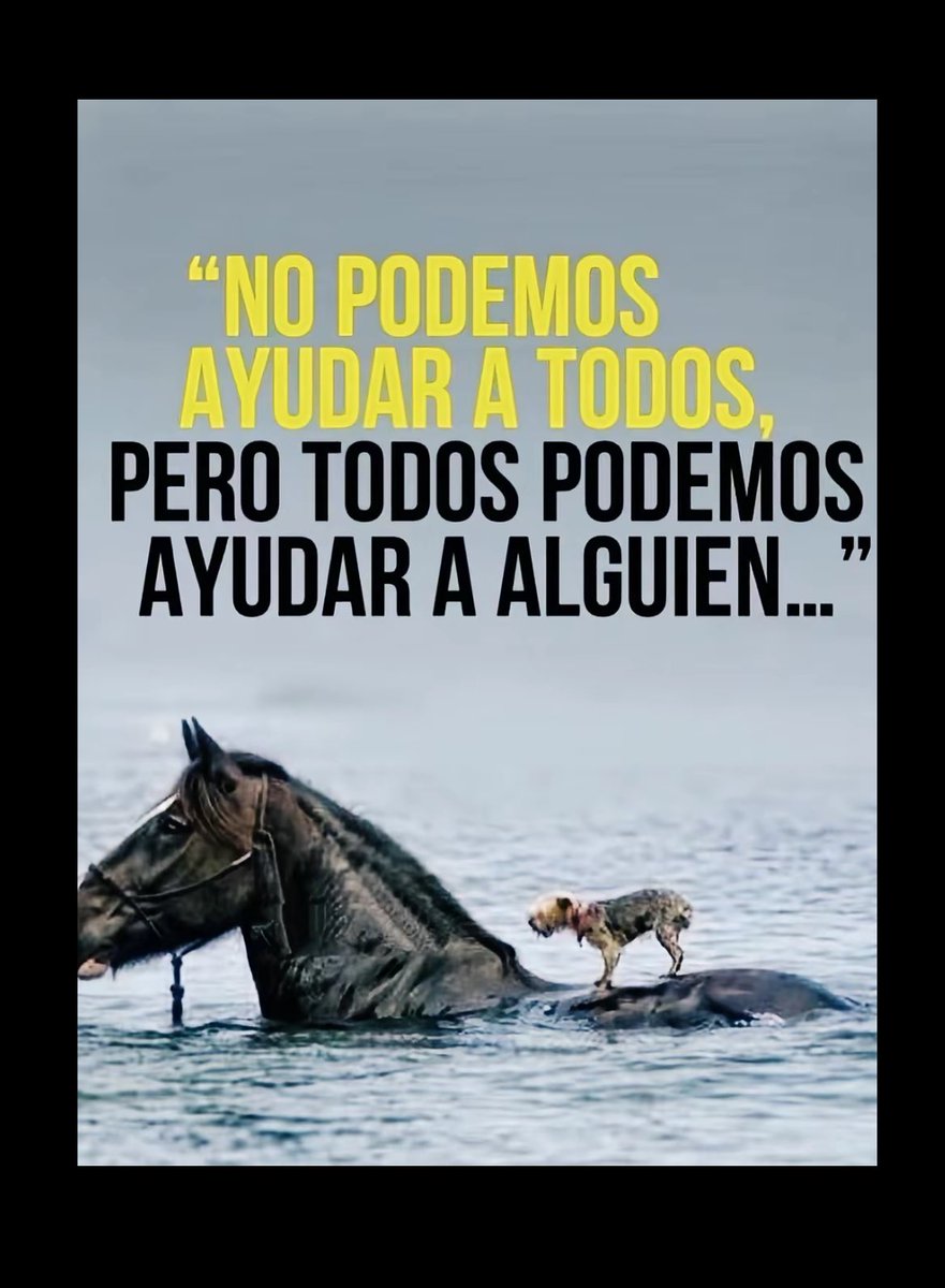 eligedisciplina's tweet photo. https://t.co/Fz1n6djt9z