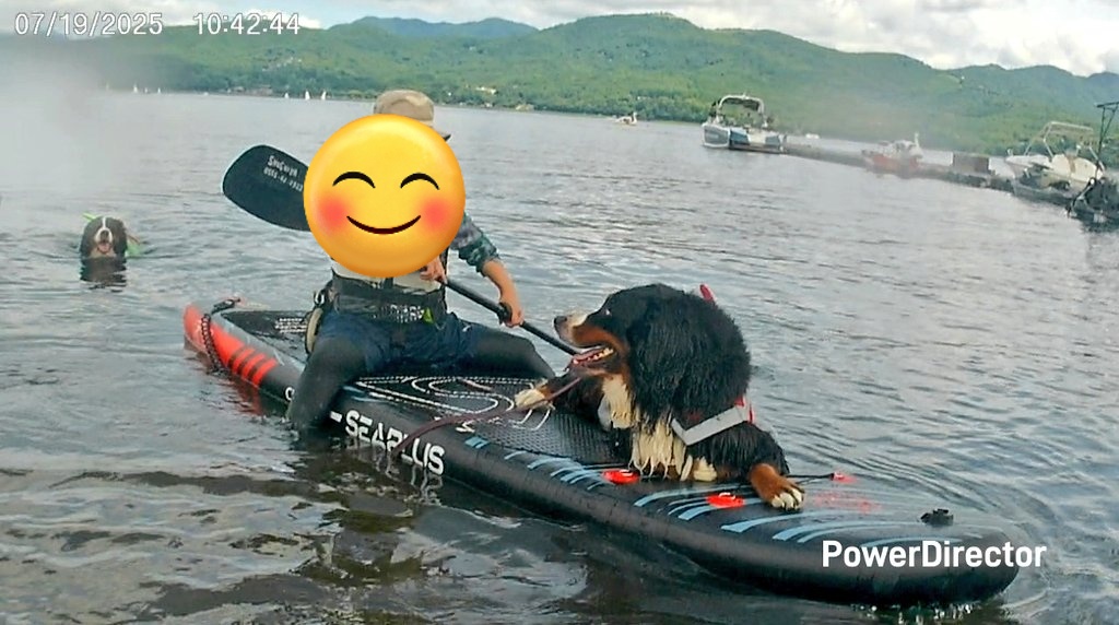 coco_bmd's tweet image. ココとエマにSUPなんかできるのか心配したけど人間たちの方が下手くそだった