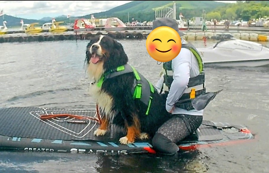 coco_bmd's tweet image. ココとエマにSUPなんかできるのか心配したけど人間たちの方が下手くそだった
