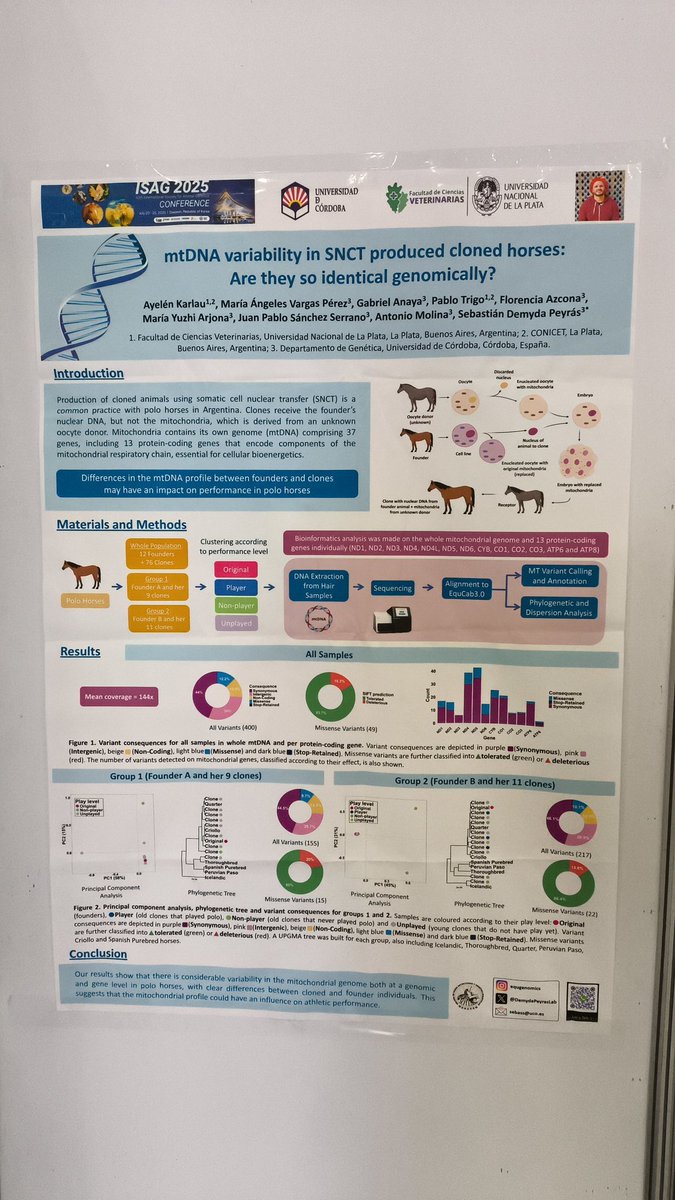 UCO Animal Citogenomics Lab 🇦🇷 🇪🇸 tweet media