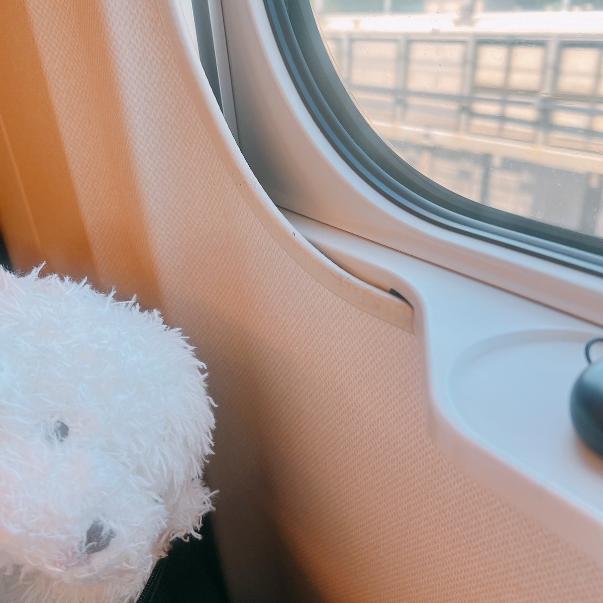 Motimugi-Kesyousui (@mtmg_k) on Twitter photo 