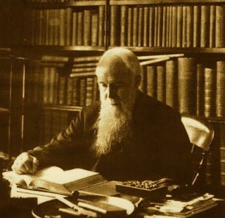 turtology's tweet image. “Bishop Ryle rarely failed to use the words “Reformed,” “Protestant,” and “Evangelical” in connection with the Church of England. An Anglicanism distinct from these three qualifiers did not exist for him.” (Zahl)