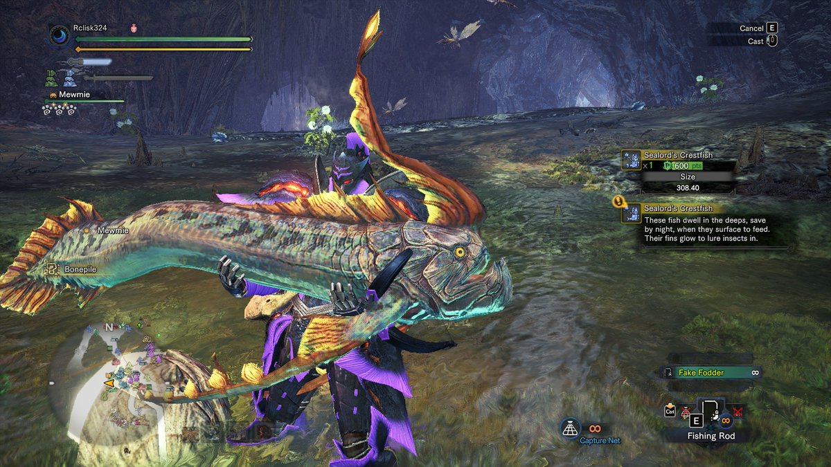 Rclisk324's tweet image. Fesh!
#monsterhunter