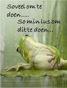 Monique_Naude's tweet photo. https://t.co/pNAATF1llo