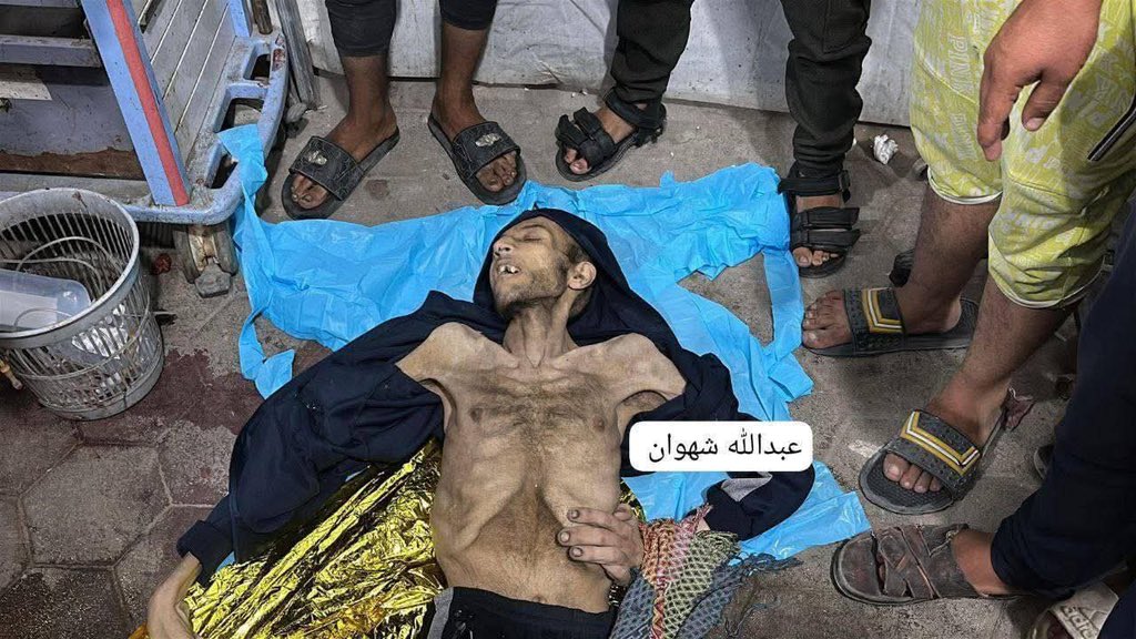 #مجاعه_غزه

57 جيش عربي وإسلامي  يتكون من ملايين الجنود عاجزون عن إدخال ذرة طحين إلى غزة!! 
و20 دولة فاشله

ألا لعنة الله عليكم وعلى حكامكم وعلى روساكم
