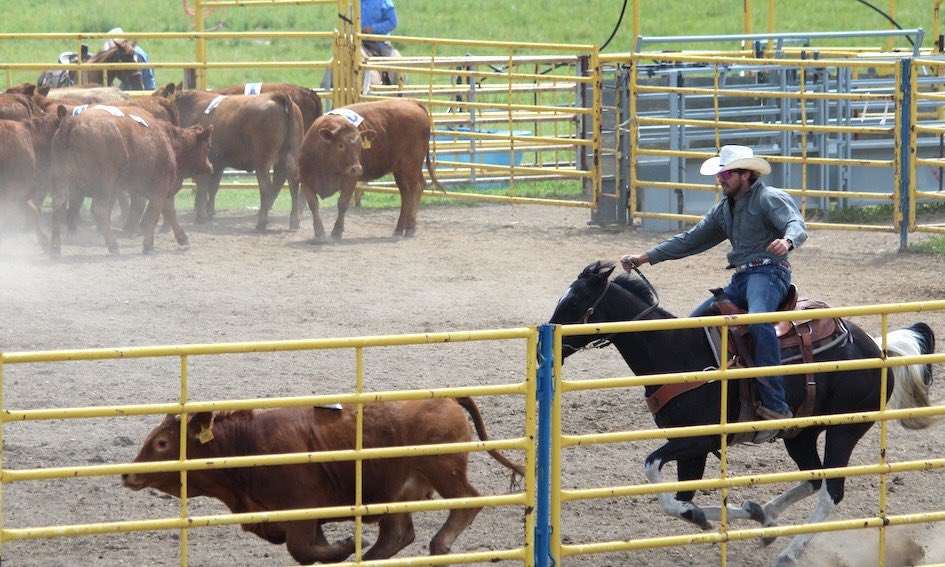 Airdrie Ag Society tweet media