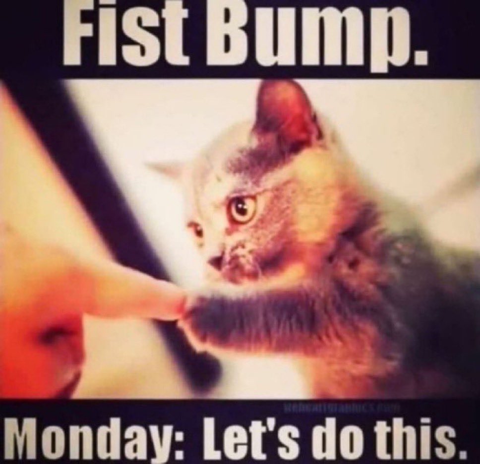 pobin0303's tweet image. 👊best day of the week