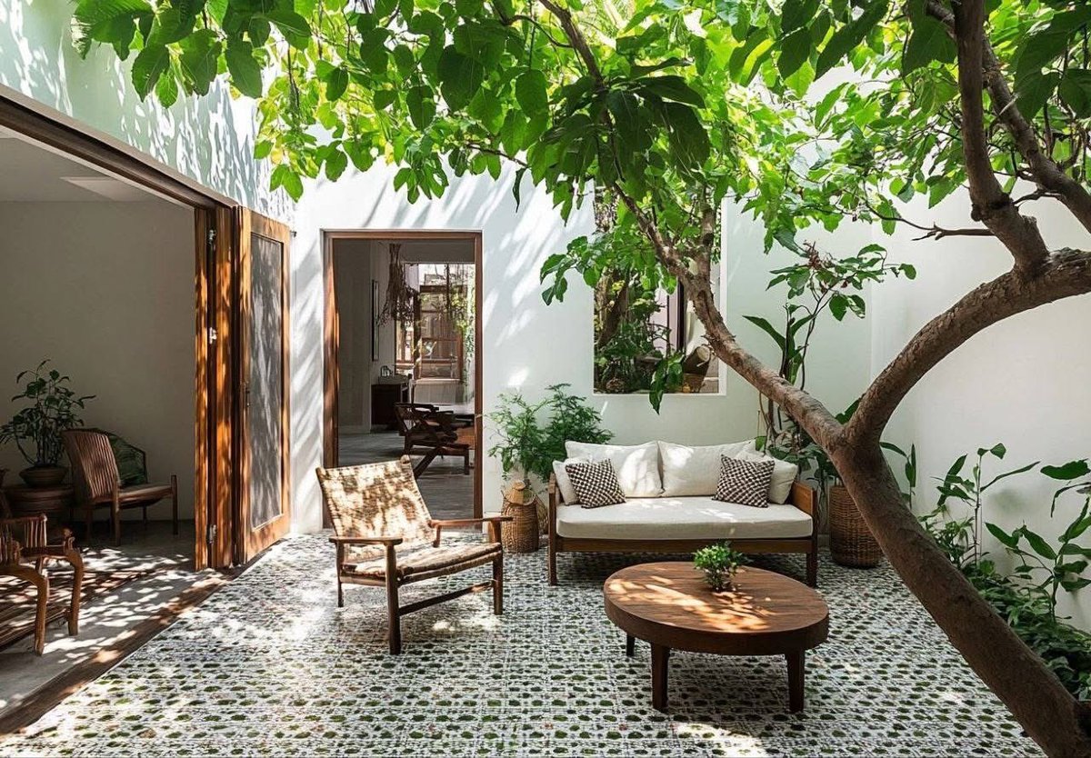 The value of a single tree 🤎