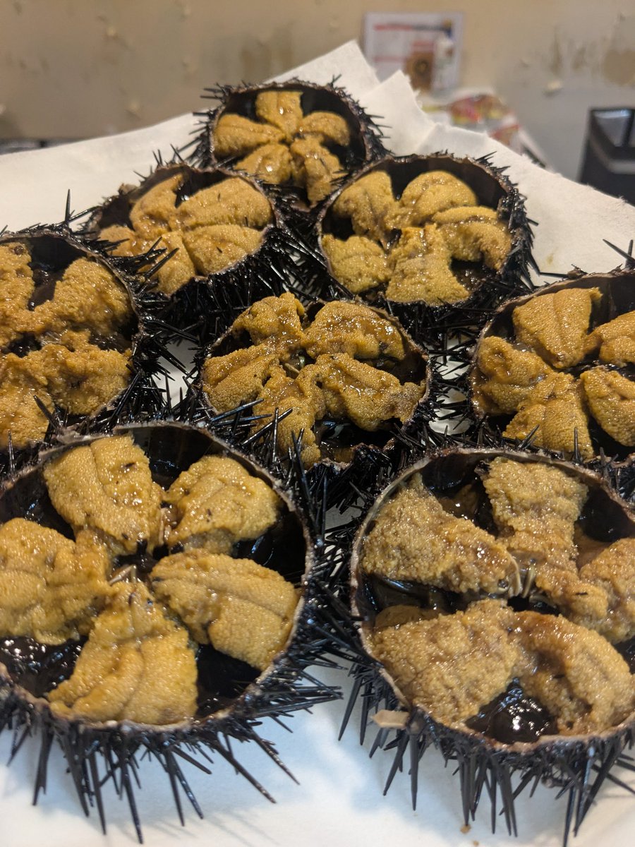 雲丹あります！一個¥550なり( ･ิω･ิ)