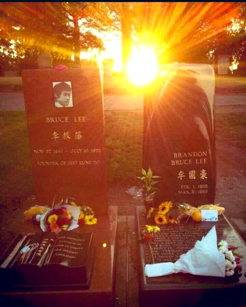 bruceleedragon1's tweet image. We Remember The Life of Bruce Lee November 27th, 1940 - July 20th, 1973.
Sunset✨Bruce Lee & Brandon Lee ✨in Seattle,Wa. USA.
Good✨Night…We Miss You❤️Bruce!