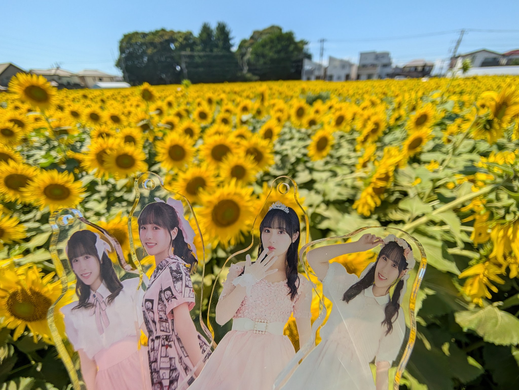 ひまわりの花かご ♡ poyochicken🐣🐔(ぽよちき) on X: 