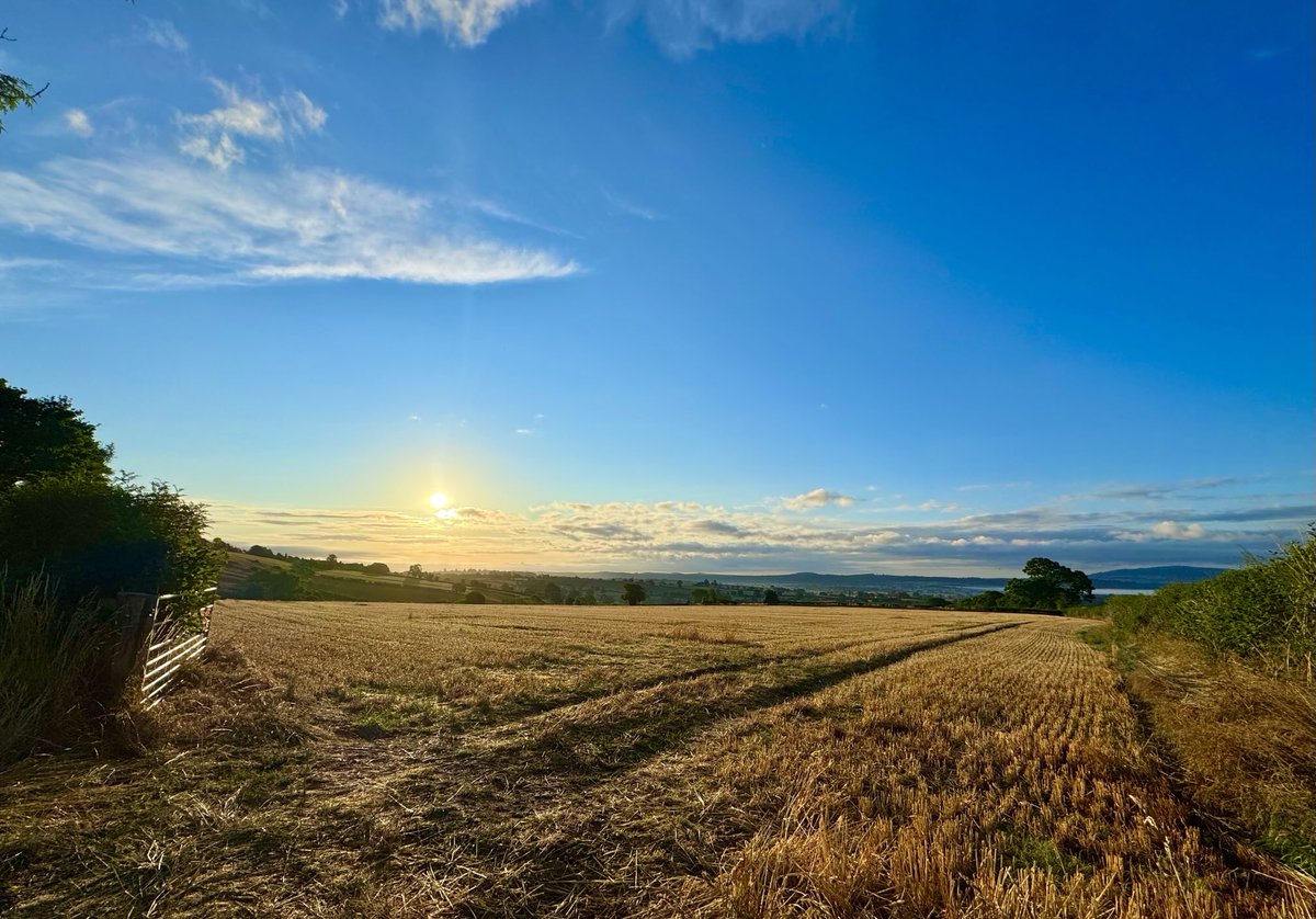 Aneedtopaint's tweet image. A beautiful mild start to Monday. ☀️ #Shropshire