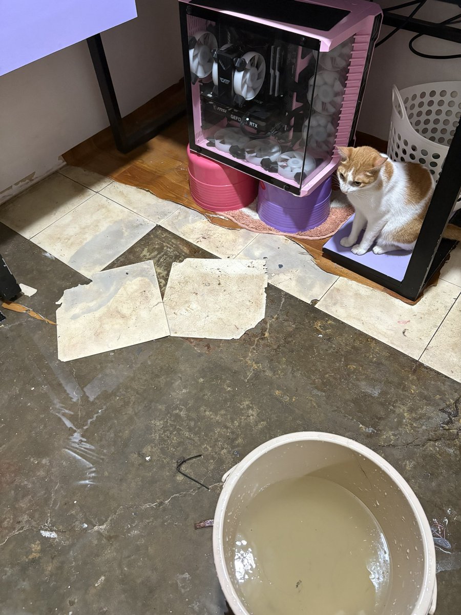 NanasuAnone's tweet image. I LOVE PHILIPPINES ๐ต๐ญ๐ต๐ญ๐ญ๐ญ
WOKE UP TO MY ROOM BEING FLOODED ๐ฆ ๐ฆ THANK GOD IT HASNโT REACHED MY CPU YET CANT AFFORD TO MOVE COZ WE POOR OMFG IM LOSING IT ๐ญ๐ญ๐ญ๐ญ๐ญ๐ญ๐ญ